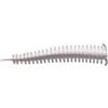 Berkley Gulp!® Esca da pesca Saltwater Sandworm | Diffusione estrema del profumo per una zona di pesca più ampia | Esca morbida per la pesca in mare e costiera | Bianco