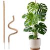 Wigearss 2 Pezzi Bastone di Muschio, Palo Cocco Piante Sostegno Piante Supporti, Pieghevoli Fibra di Cocco, Tutore Muschiato per Monstera Rampicanti, 160cm