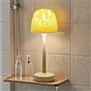 Gotopceed Lampada Bagno Ricaricabile con Proiettore Aurora Boreale - Luce LED Impermeabile per Doccia e Interno Bagno, Lampada da Tavolo Senza Fili, Luce Atmosfera Bagno con Telecomando e Illuminazione Bagno