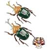 Modello Fujimi (FUJIMI) NUOVO Fujimi Model FUJIMI Free Research Series n. 219 TV Anime Attack on Titan