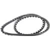 DAYCO 10A0750C Cinghia Trap.DENTATA Com.ALTERN.VOLVO760