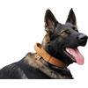 DINGO GEAR WWW.DINGOGEAR.COM 1977 DINGO GEAR Drago - Collare per cani in pelle, ammortizzato, con manico largo e resistente, fatto a mano, circonferenza del collo 56-64 cm, per allenamento e passeggiate, protezione da tiro,