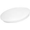 JANDEI - Plafoniera a LED bianco freddo 6000K (24W), diametro 35 cm. Perfetta per soffitti, case, stanze, corridoi, camere da letto, illuminazione moderna.
