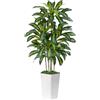 ZEEOZE Pianta Artificiale Dracaena da 150cm Piante Finte da Interno Con Fioriera Alta Bianca Piante Artificiali da Esterno Per Soggiorno Camera da Letto Ufficio Casa Corridoio Decorazione (1Pz)