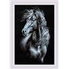 RIOLIS Breeze Through Mane Counted Cross Stitch Kit - 30x45cm, 14 Count, Punto croce kit da ricamare, Kit ricamo punto croce