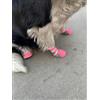 Vibrant Fellow, set da 4 scarpette proteggi zampe per cani, traspiranti e antiscivolo, con strisce di velcro riflettenti