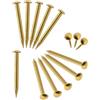 FUXXER 100 chiodi in ottone dorato, antiruggine, piccole unghie decorative, per mobili, fai da te, 12 x 2 mm