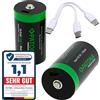 PATONA 2x Premium batterie LR20 Mono D USB-C 6.0Wh 1.5V Battery ricaricabili, cavo di ricarica USB-C 1-a-2, oltre 1.000 cicli di carica, per fotocamere, telecomandi, torce e altro