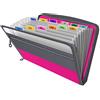 Fun storage Cartella portadocumenti espandibile, divertente organizer per documenti, 13 tasche con cerniera, 5 colori, cartella portadocumenti con linguette, portadocumenti espandibile a fisarmonica, rosa