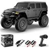 FLYCOLOR RCS24 Off Road 1/24 RC Truck 4x4 Off Road Crawler veicolo da arrampicata All Terrain RC Monster Truck telecomando auto con faro luminoso 2 batterie impermeabile giocattolo hobby (RTR nero)
