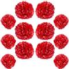 Ruidee Set di 12 pompon di carta velina - 25 cm e 30 cm, fiori appesi per decorazioni di matrimoni e feste (Rosso)