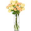Koelaa Vaso Acrilico Trasparente per Fiori - Vasi Cilindrici Infrangibili Decorativi, Portafiori Moderno per Interni/Esterni, Regalo Matrimonio/Casa/Ufficio, Centrotavola per Cena/Feste-20x40cm