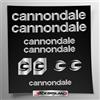 Stickersland Kit adesivi compatibile con telaio Cannondale MTB Mountainbike e casco | decals sticker Decalcomanie bici scritte loghi | Stickersland® (Argento Lucido Metallizzato)