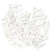 RUGBOL Fiori secchi, Ruscus essiccato, Fiori secchi essiccati per fai da te, arte, resina, scrapbooking, creazione di gioielli, decorazioni floreali, cupcake (Bianco)
