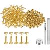 QUARKZMAN 100 Set Rivetti in Pelle 9mm x 16mm Elementi Fissaggio Borchie Rivetto a Doppio Cappuccio Metallo 3Pz Montaggio Chicago per Borse Scarpe Pelle Riparazioni, Tono Oro