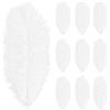 Wisebom 10 Pezzi Piuma di Struzzo, 10-12inch (25-30cm) Piuma di Struzzo Naturale Artigianato in Piuma di Struzzo per Matrimoni Artigianato Costumi Decorazione Natalizia Feste a Tema (Bianco)