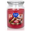 BISPOL Premium Line Apple - Cinnamon 500 ml