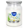 BISPOL Premium Line Jasmine 500 g