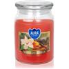 BISPOL Vanilla & Amber 500 ml