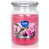 BISPOL Premium Line Rose 500 g