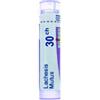 BOIRON Lachesis mut 5ch gr 4g - BOIRON - 800023448