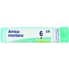 BOIRON Arnica 6ch gr 4g - BOIRON - 800230207