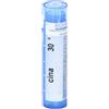 CEMON Cina 30ch gr - CEMON - 800244030