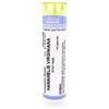 CEMON Hamamelis virg 30ch gr - CEMON - 800244295