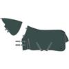 Imperial Riding IRHBasic - Coperta da esterni in pile, 0 g, senza collo, leggera, per esterni, materiale resistente alle intemperie, con piega, cintura a croce, corda per le gambe, verde, 145