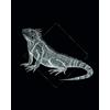 Komar WTD P077D-P077D - Poster da Parete, Motivo: Iguana Nera, Decorazione Artistica per Soggiorno e Camera da Letto, Senza Cornice, P077D, 40 x 50 cm, Dimensioni: 40 x 50 cm (Larghezza x Altezza)