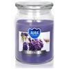 BISPOL Premium Line Lavender 500 ml