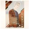 Jun Seventeen Twin Wafer Card R-17 Bandai Made In Japan K-POP Idle TCG 2023