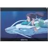 Movic Spirited Away 647050 - Raccoglitore trasparente formato A4, collezione Haku