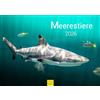 Edition Seidel Calendario da parete Premium con animali marini 2026, formato DIN A3, calendario da parete, delfini, balene, squali, meduse, tartarughe, coralli, pesci, oceano, mondo subacqueo