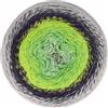 Scheepjes Cotton Whirl 1x1000m - Palette Pistacchio