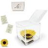 La Rosa dei Sogni Girasole stabilizzato in Cubo Trasparente - Confezione Regalo Elegante - Durata 5-7 Anni - Made in Italy (12x12 cm)