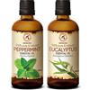 AROMATIKA trust the power of nature Olio Essenziale Set 2x100ml - Oli Aromaterapici - Menta Piperita - Eucalipto - Kit Set Oli Essenziali per Diffusori - Bruciaolio - Umidificatore - Aromaterapia Olio Essenziale