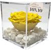 Premium-rose.com Premium Rose Cubo Rosa stabilizzata Gialla 10cm