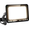 RIGIDON Faretto LED 30W, Faro da Esterno con Spina, Faretti 3000LM Impermeabile IP66, Fari Led Interna ed Esterna 3000K Bianco caldo Fari di Sicurezza per Giardino, Cortile, Garage