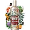Coppa Cocktails, Negroni, 700 ml, Cocktail iconico, pronto da bere, aperitivo italiano, gusto intenso ed erbaceo, bitter, vermouth rosso, 14.9% Vol.