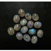 colori di gemme Pietra di luna arcobaleno fuoco blu naturale 50,85 ct lotto sfuso cabochon ovale