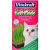 Vitakraft Cat Grass Bustina di Erba Gatta in Semi