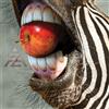 A-Z 'A-Z' CD Digipack- NUOVO E SIGILLATO