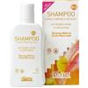 ARGITAL Srl ARGITAL SHAMPOO BIOND/DELIC250ML