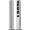 Piega Ace 50 argento (confezione da 2) - Diffusore a colonna, 150 W, 4 ohm