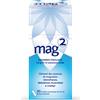 OPELLA HEALTHCARE ITALY Srl MAG2 Magnesio Pidolato 1,5 g/10 ml - Soluzione Orale Per Stanchezza E Debolezza Muscolare 20 Stickpack
