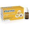 MONTEFARMACO OTC SpA Vitalmix Pappa Reale Integratore Energetico 10 Flaconcini