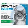 BOEHRINGER ING.ANIM.H.IT.SpA Frontline Spot On Gatti x3 Pipette, Antiparassitario per Gatti e Gattini, Contro Zecche, Pulci e Pidocchi