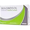 MEDA PHARMA SpA Magnosol Integratore di Magnesio e Potassio 20Bustine effervescenti