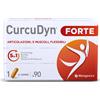 METAGENICS BELGIUM bvba CURCUDYN FORTE 90CPS